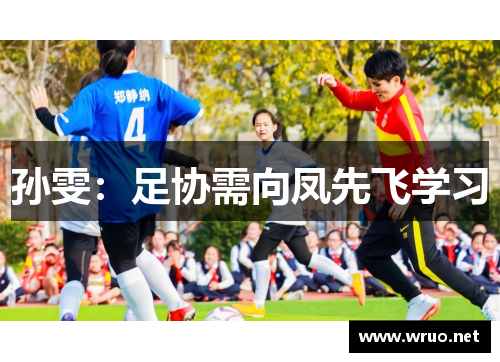 孙雯：足协需向凤先飞学习